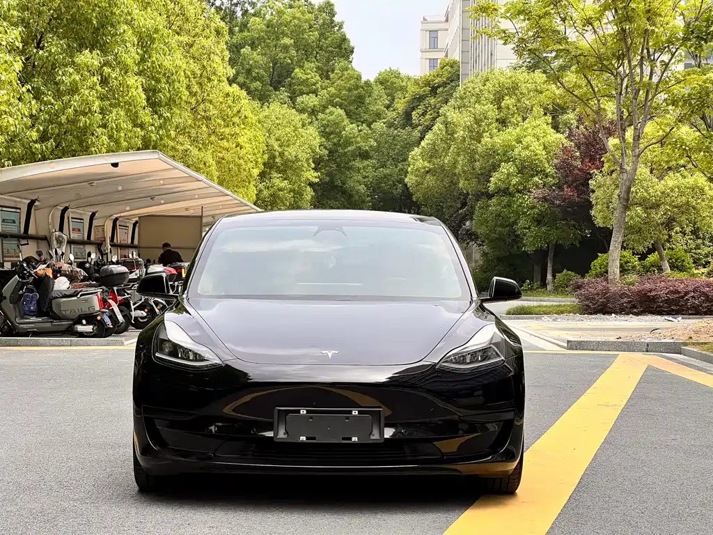 Tesla Model 3 — миниатюра 2