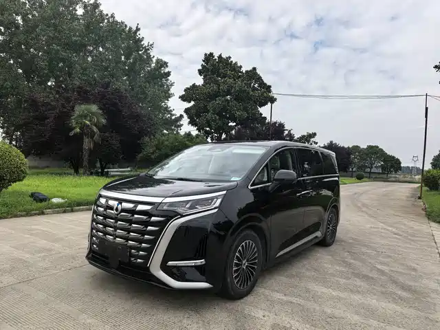 2024 Denza D9