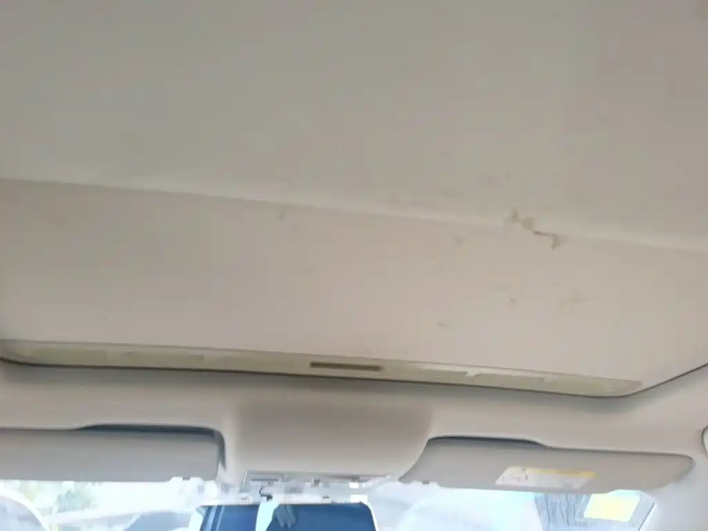 Volkswagen Santana — миниатюра 23