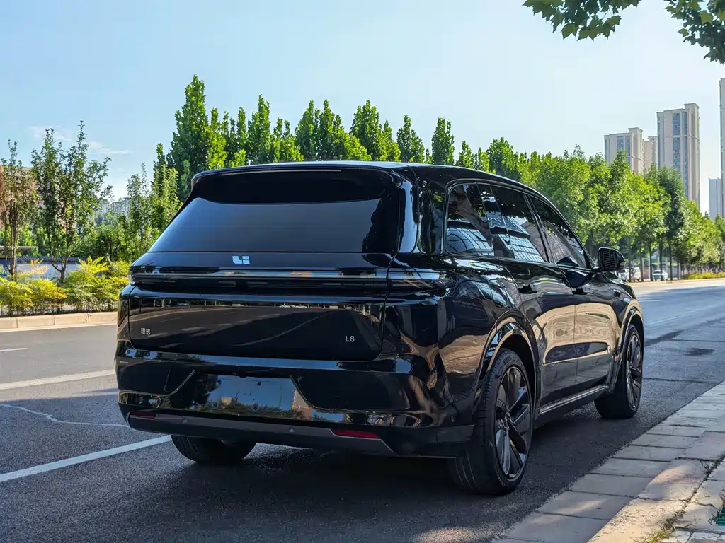 Li Auto Li L8 — миниатюра 21