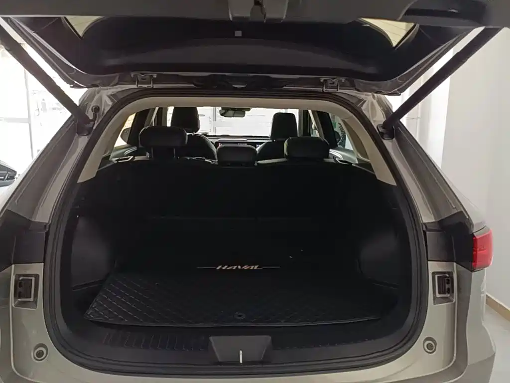 Haval Xiaolong MAX — миниатюра 19