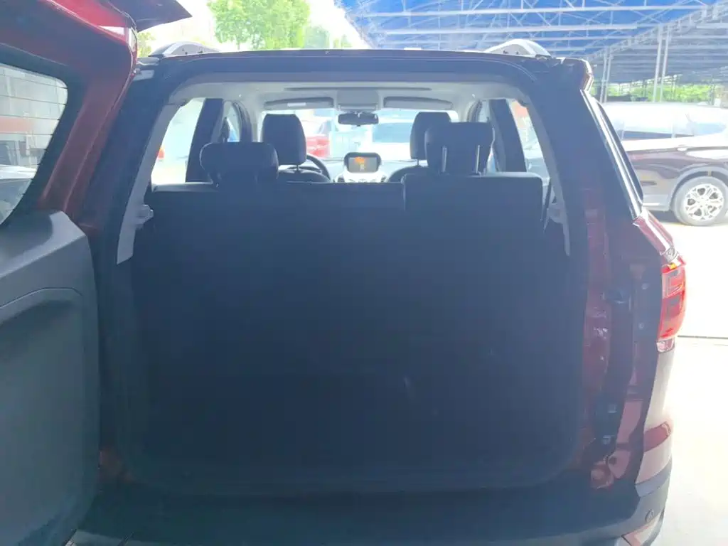 Ford Ecosport — миниатюра 19