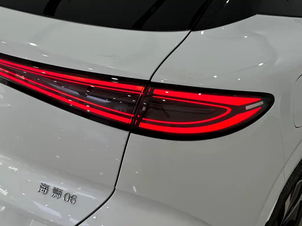 BYD SEA LION 06 NEW ENERGY