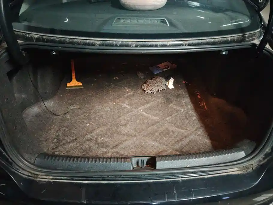 Volkswagen Sagitar — миниатюра 4