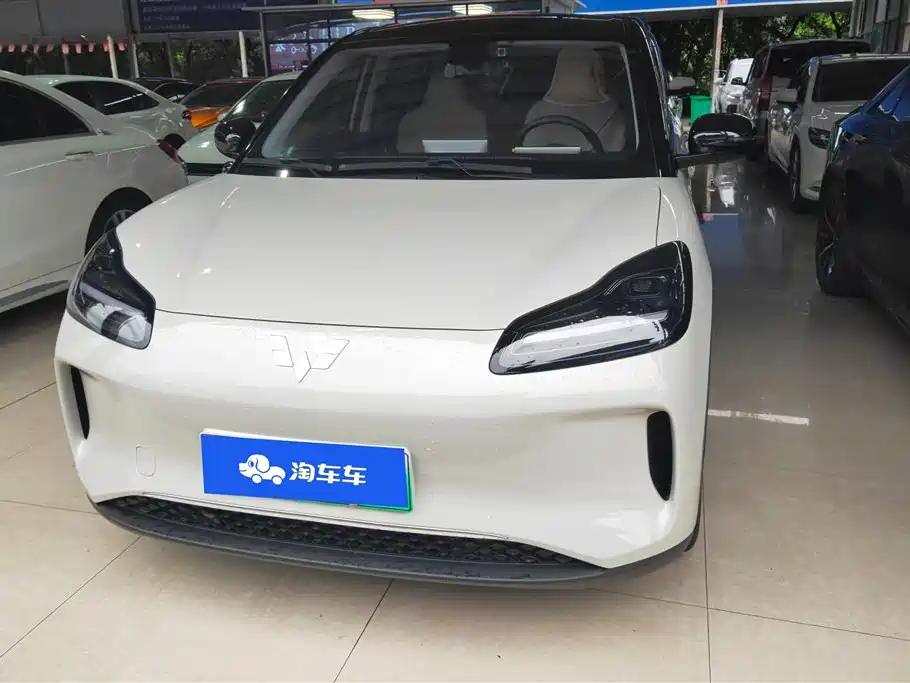 Wuling BinguoPLUS PLUS 2024 330km мест