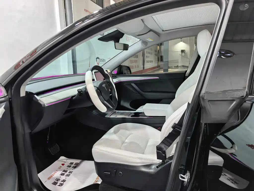 Tesla Model Y — миниатюра 5