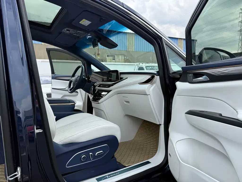 Buick GL8 2020 Avenir мест