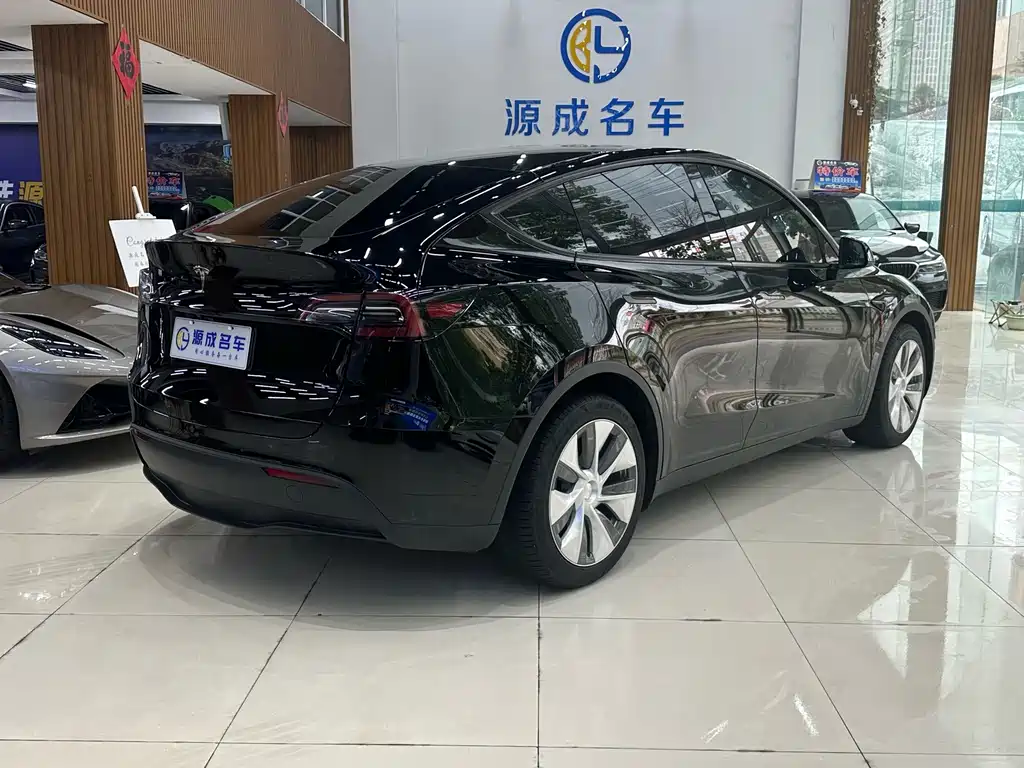 Tesla Model Y — миниатюра 6