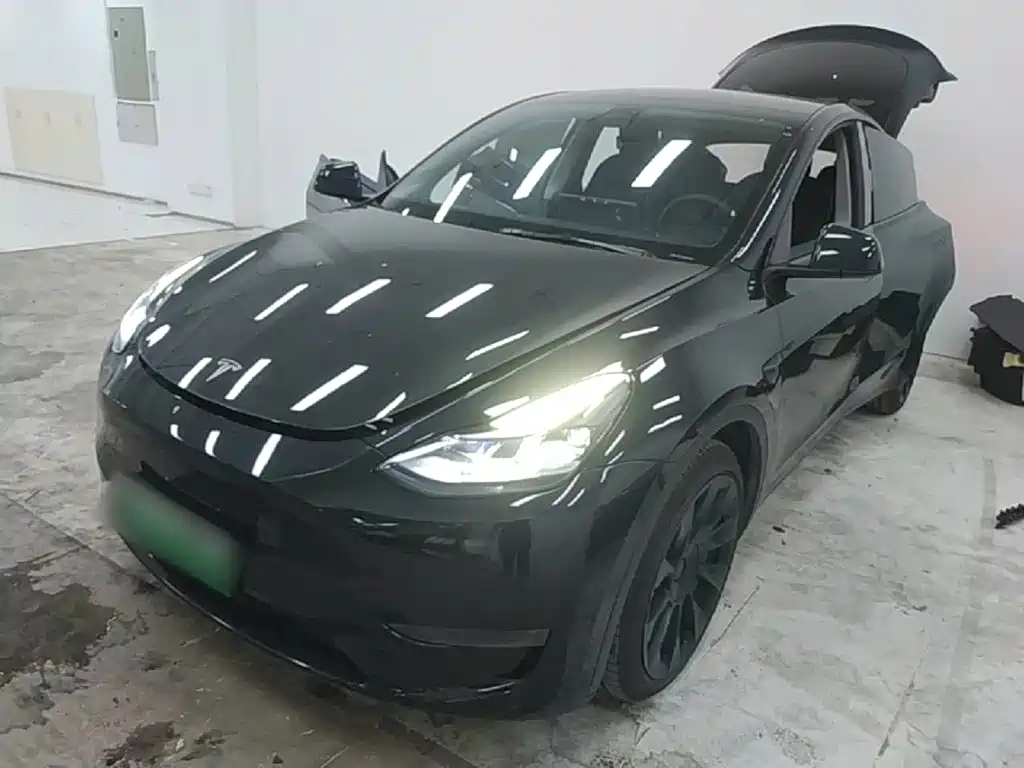 Tesla Model Y — миниатюра 2