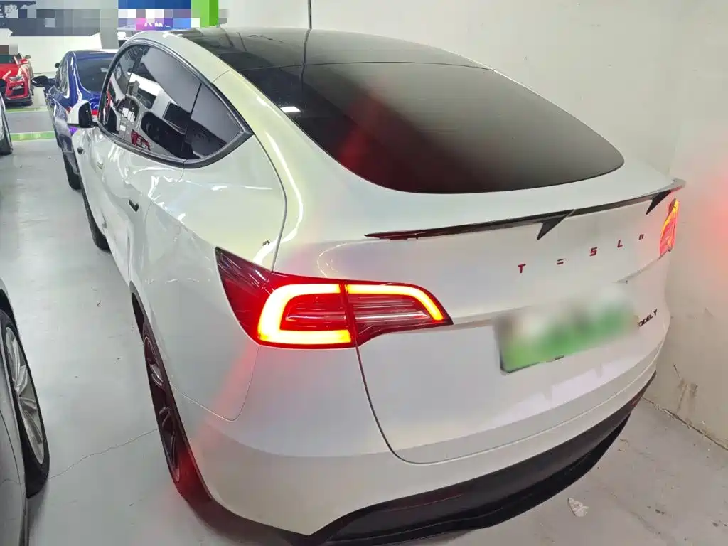 Tesla Model Y — миниатюра 24