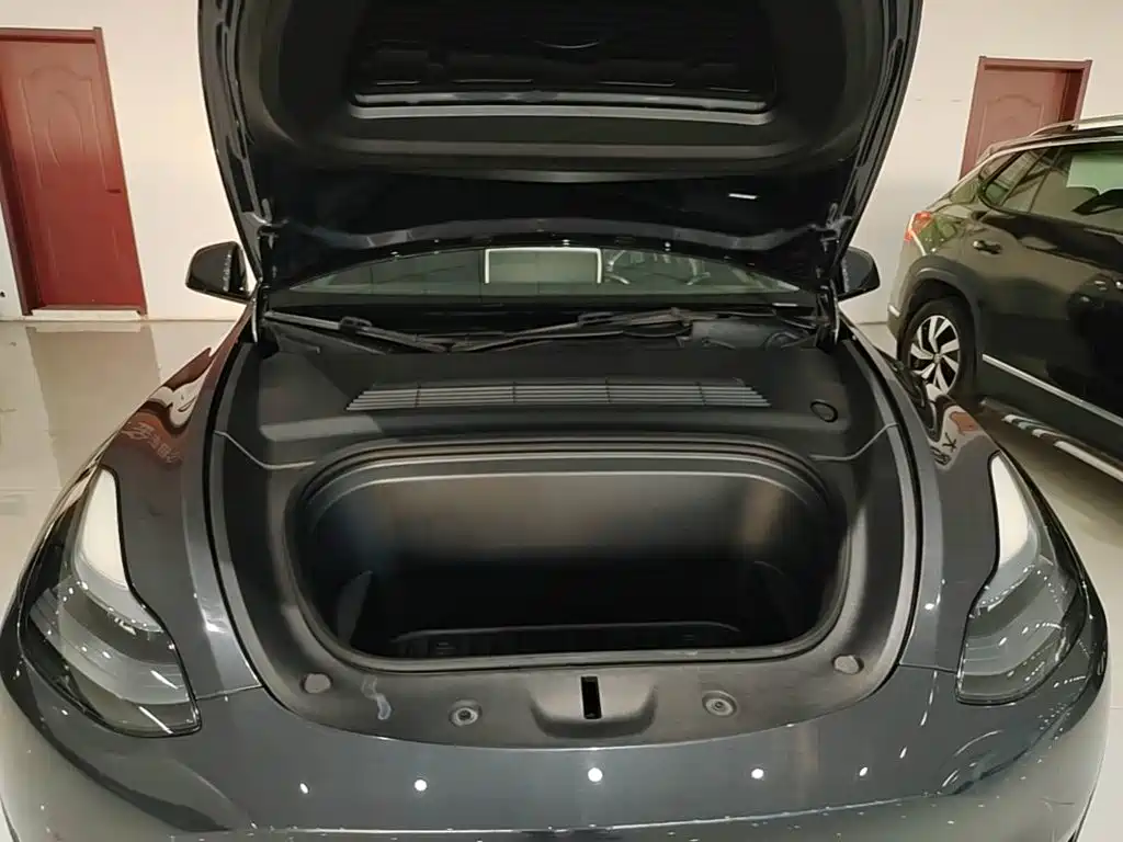 Tesla Model Y — миниатюра 20