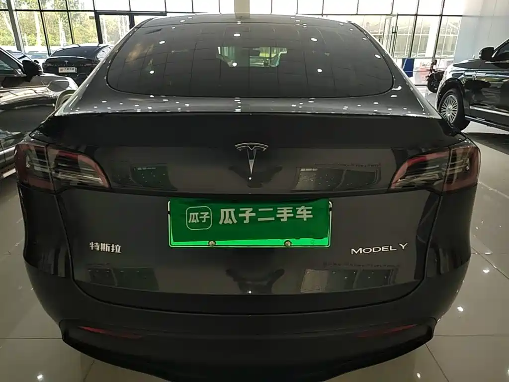 Tesla Model Y — миниатюра 6