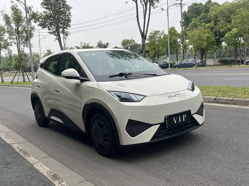 BYD Seagull 2025 Smart Drive 305km