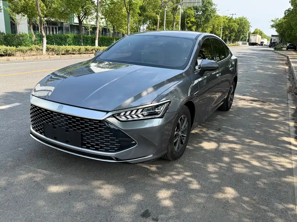 BYD Qin Plus PLUS 2024 DM-i 55KM Lead