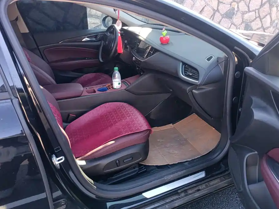 Buick Regal — миниатюра 8