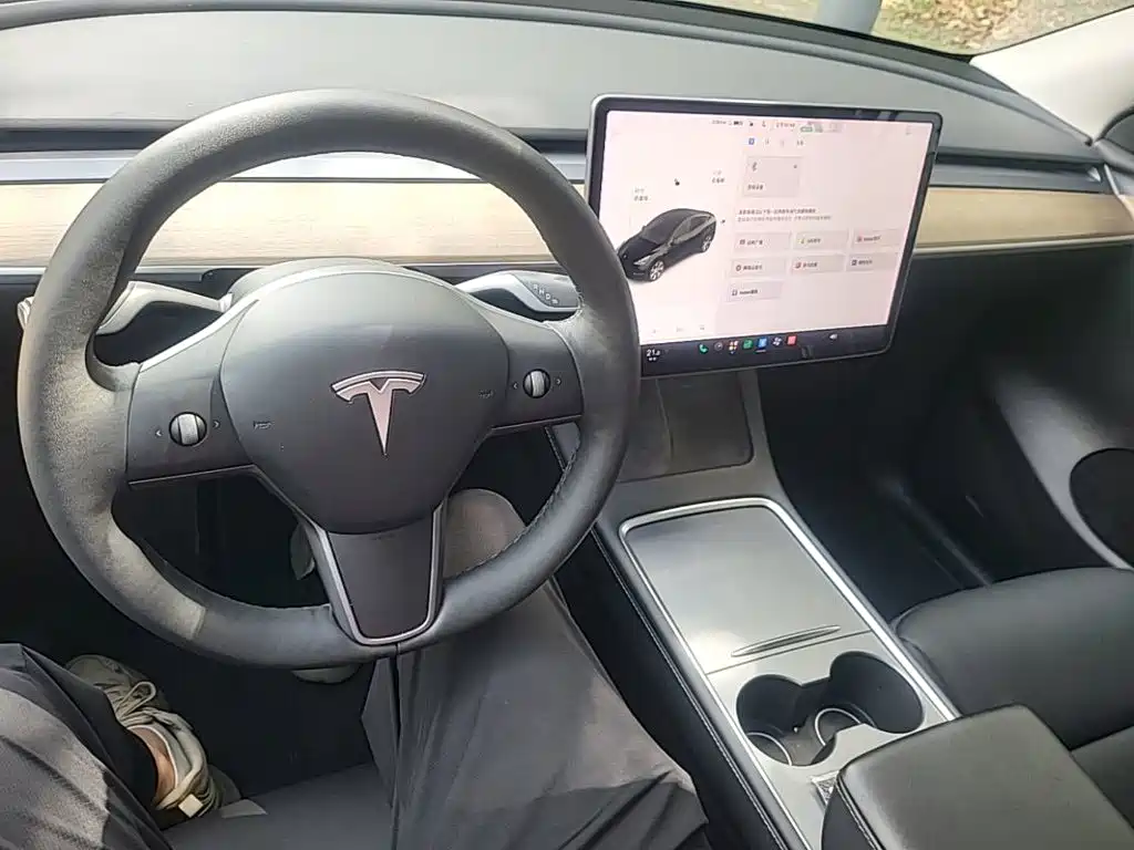 Tesla Model Y — миниатюра 10