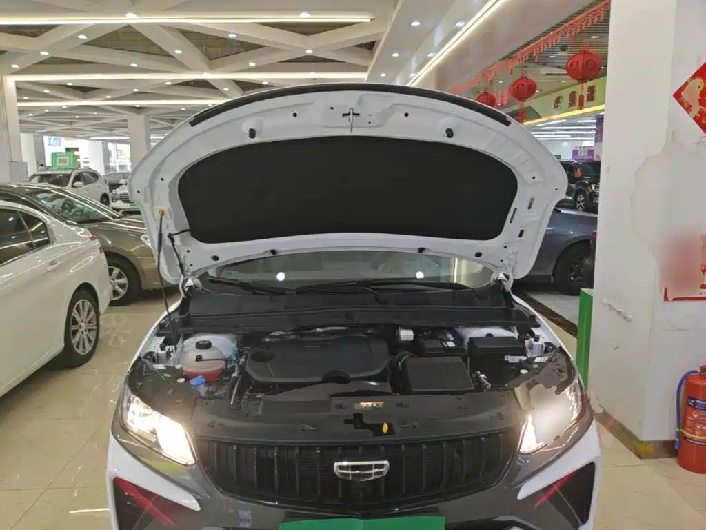 Geely Binyue — миниатюра 20