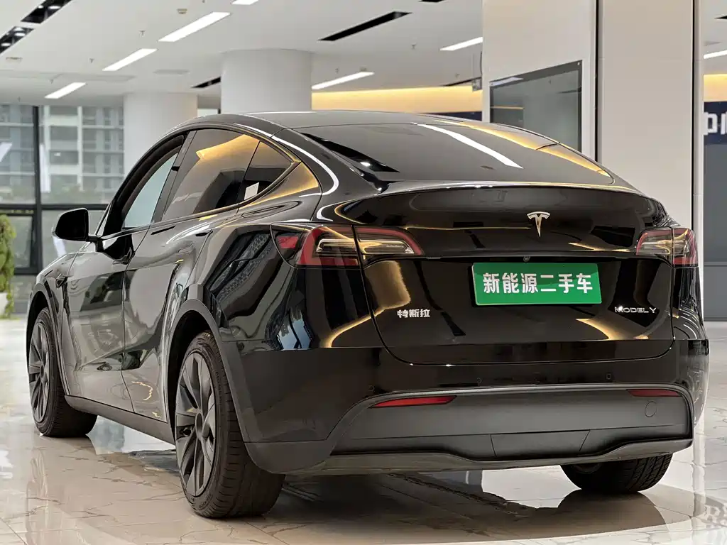 Tesla Model Y — миниатюра 5