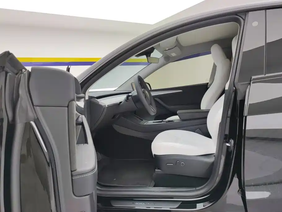 Tesla Model Y — миниатюра 9