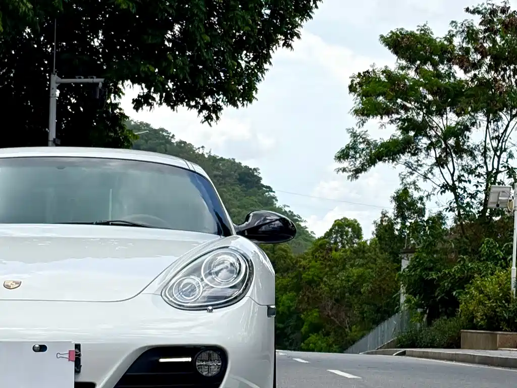 Porsche Cayman Cayman 2.9L, фото 3