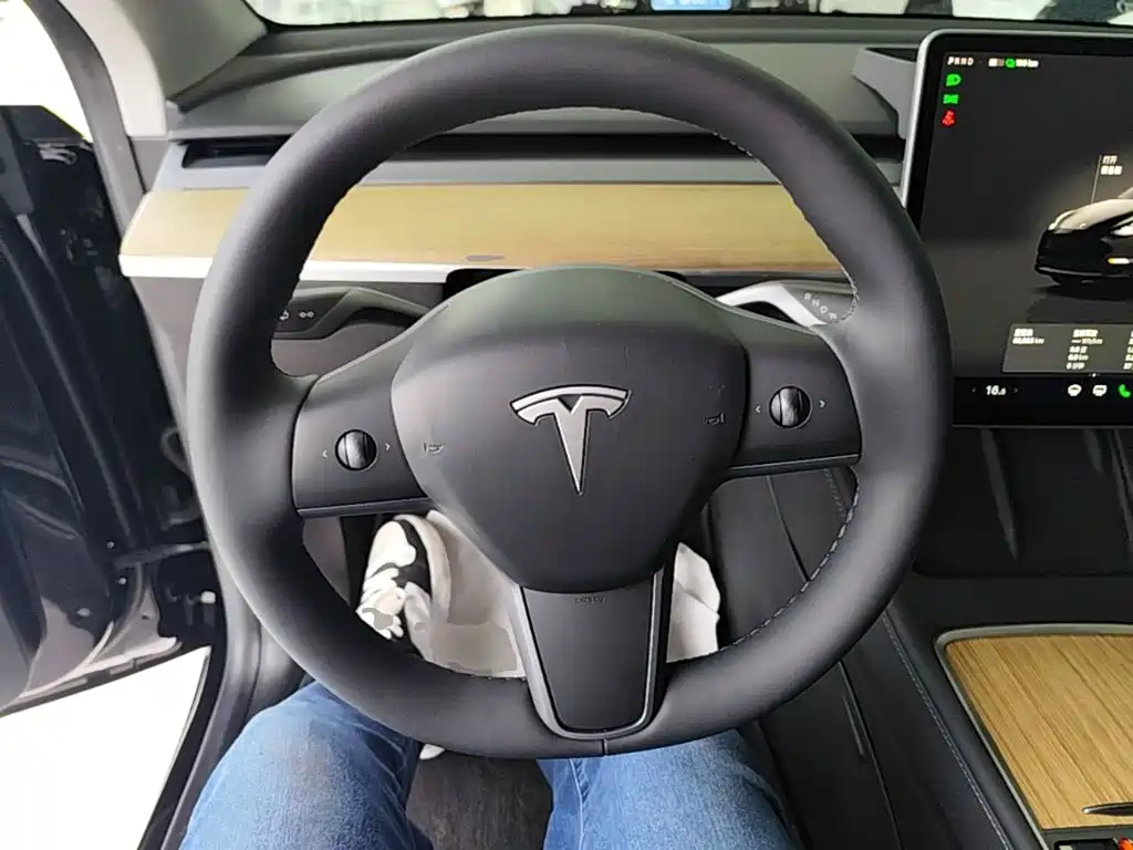 Tesla Model Y — миниатюра 11