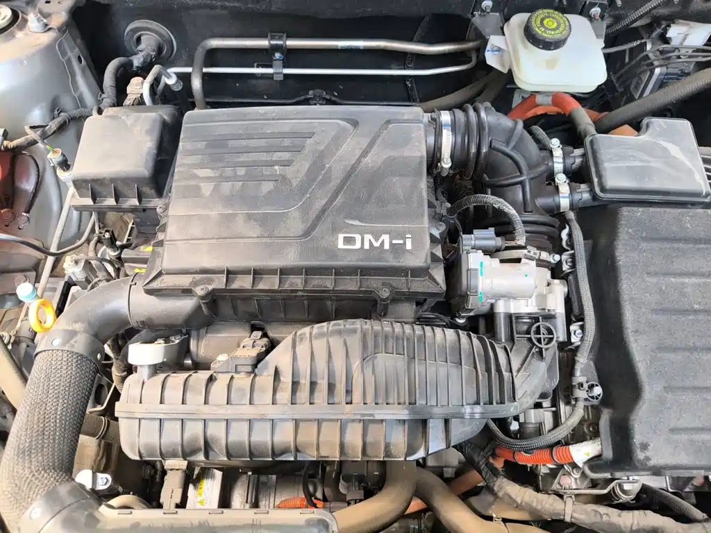 BYD Pro New Energy — миниатюра 11