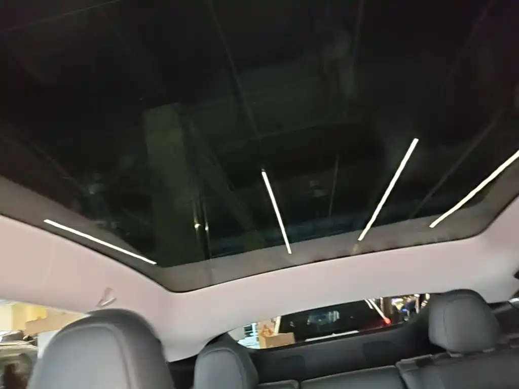 Tesla Model Y — миниатюра 18