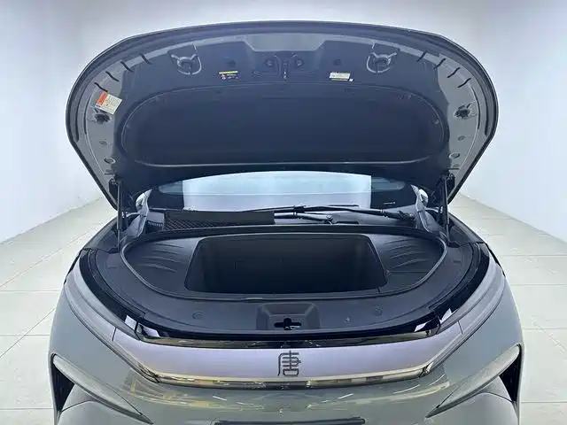 BYD Дон Л. — миниатюра 3