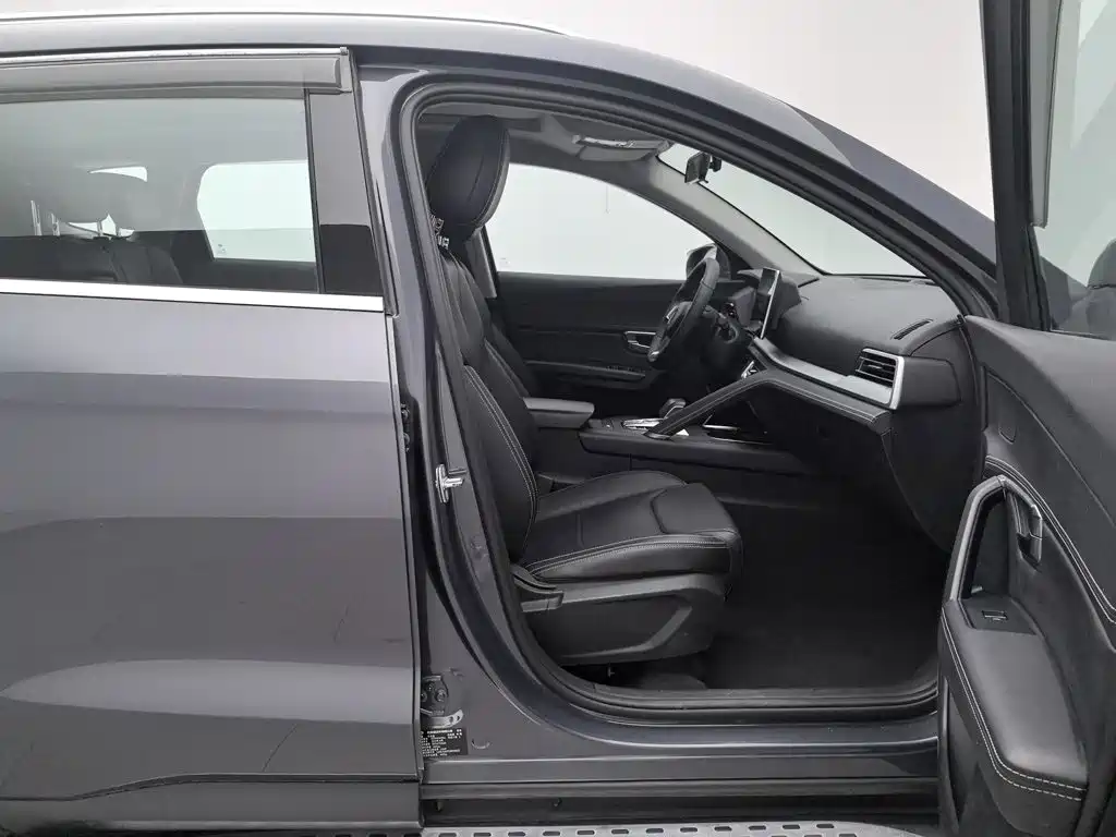 BYD Pro — миниатюра 23