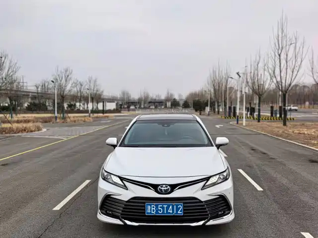 TOYOTA ASIAN DRAGON 2020