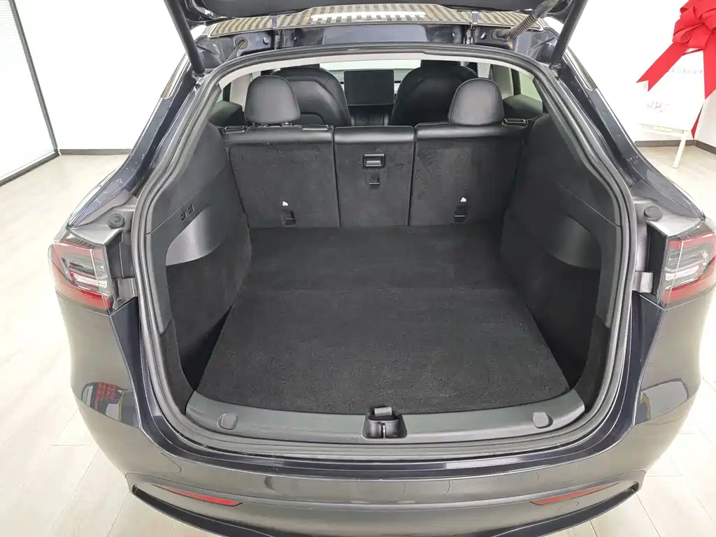 Tesla Model Y — миниатюра 7