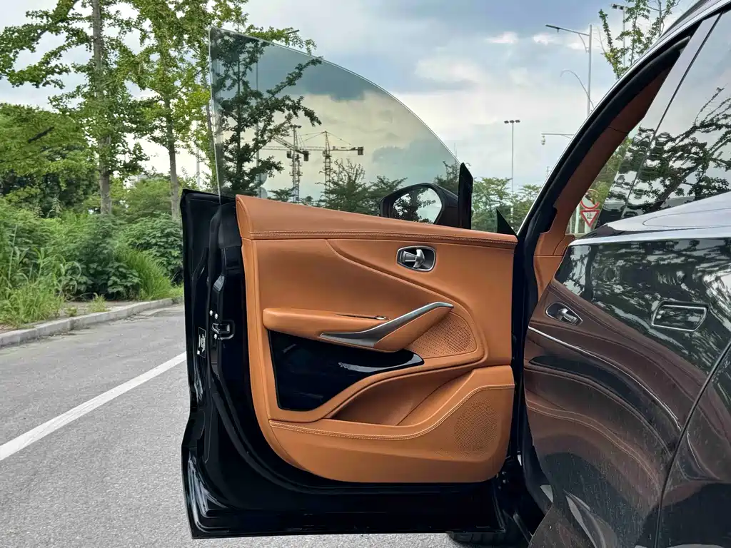 Aston Martin DBX — миниатюра 7