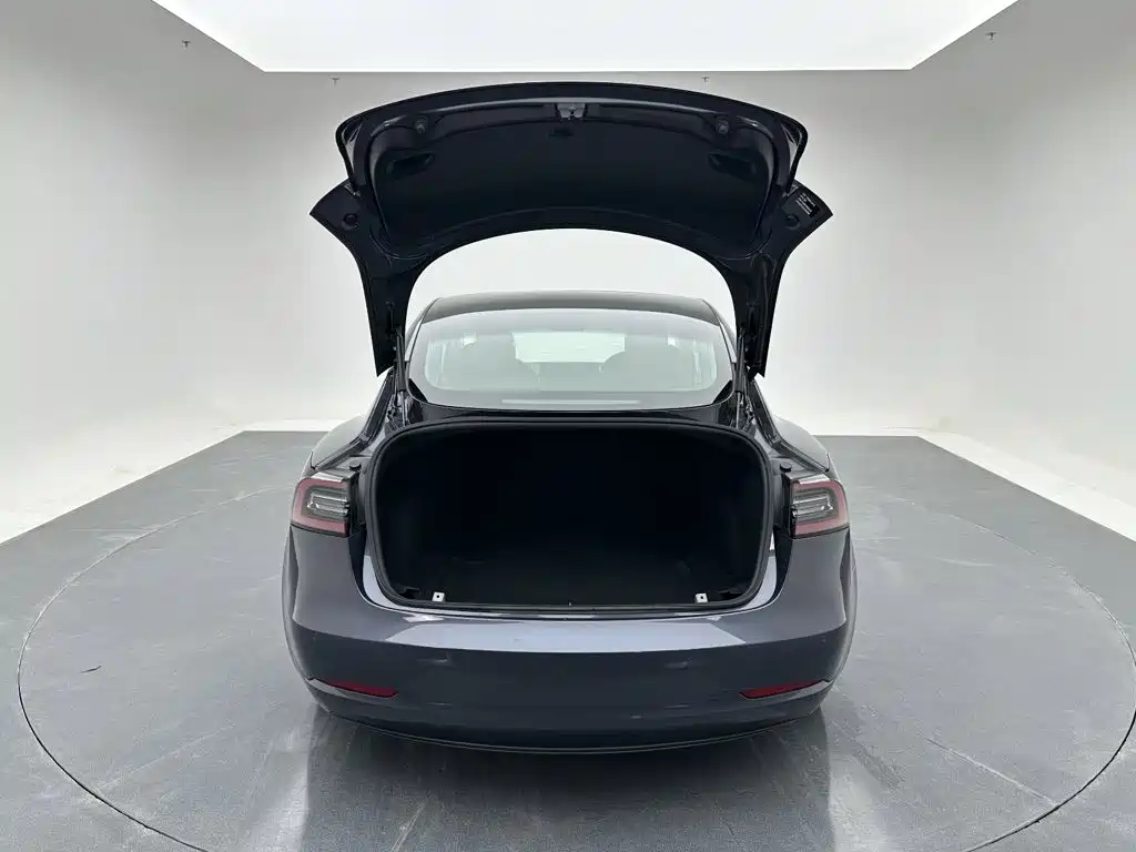 Tesla Model 3 — миниатюра 21