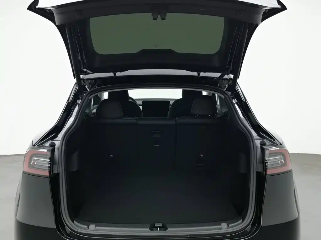 Tesla Model Y — миниатюра 16