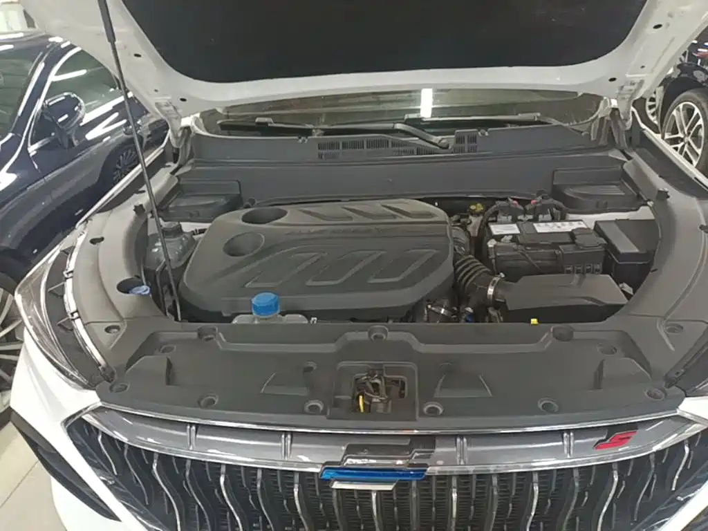 Oshan Oushang X5 — миниатюра 20