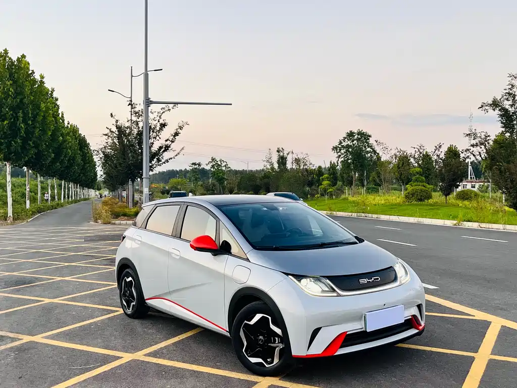 BYD Dolphin — миниатюра 3