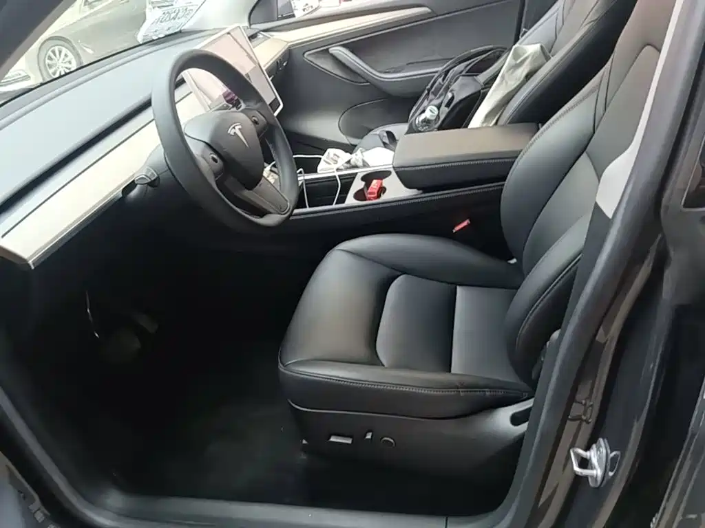 Tesla Model Y — миниатюра 15