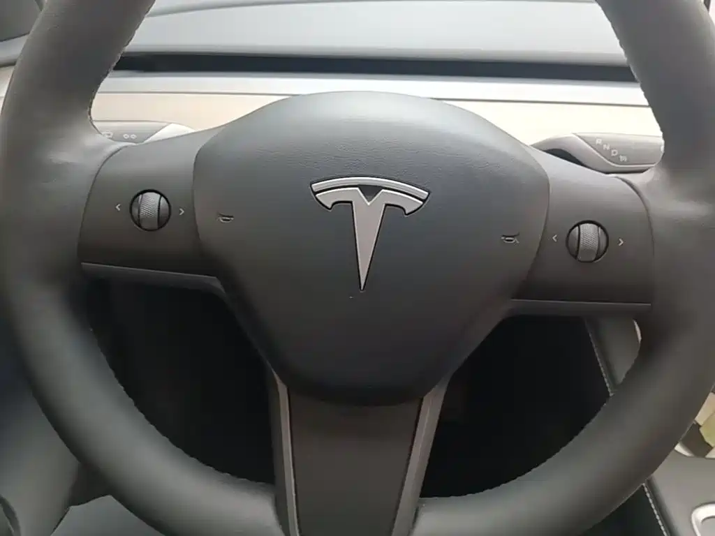 Tesla Model Y — миниатюра 11