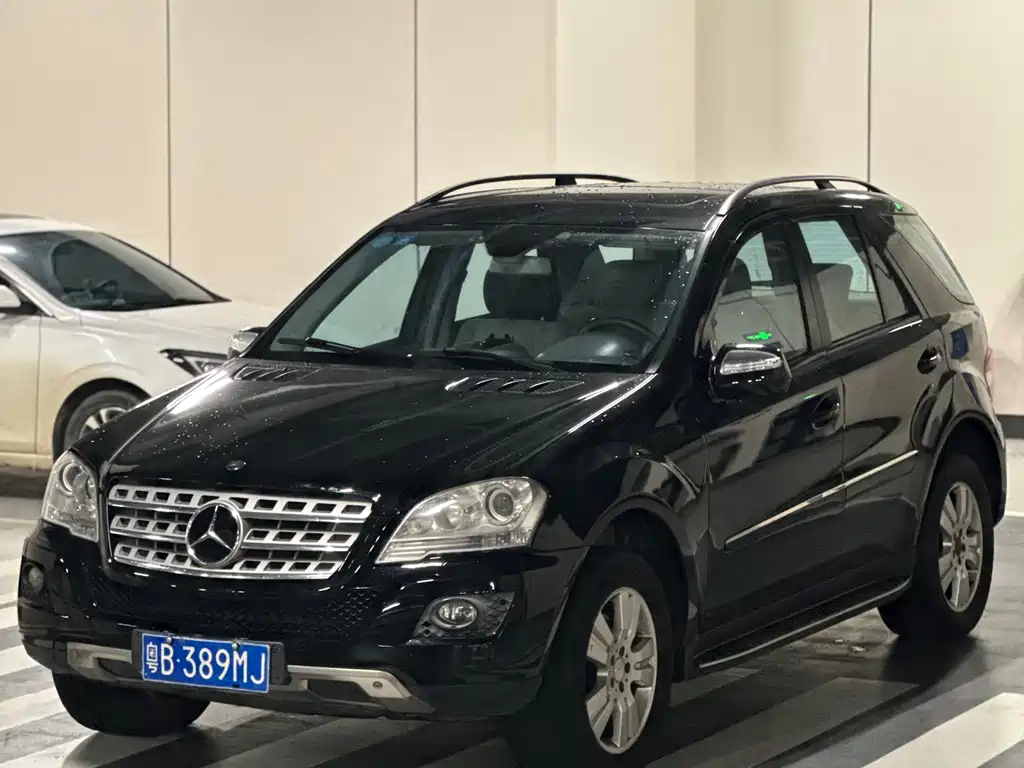 Mercedes-Benz M-Class 2010