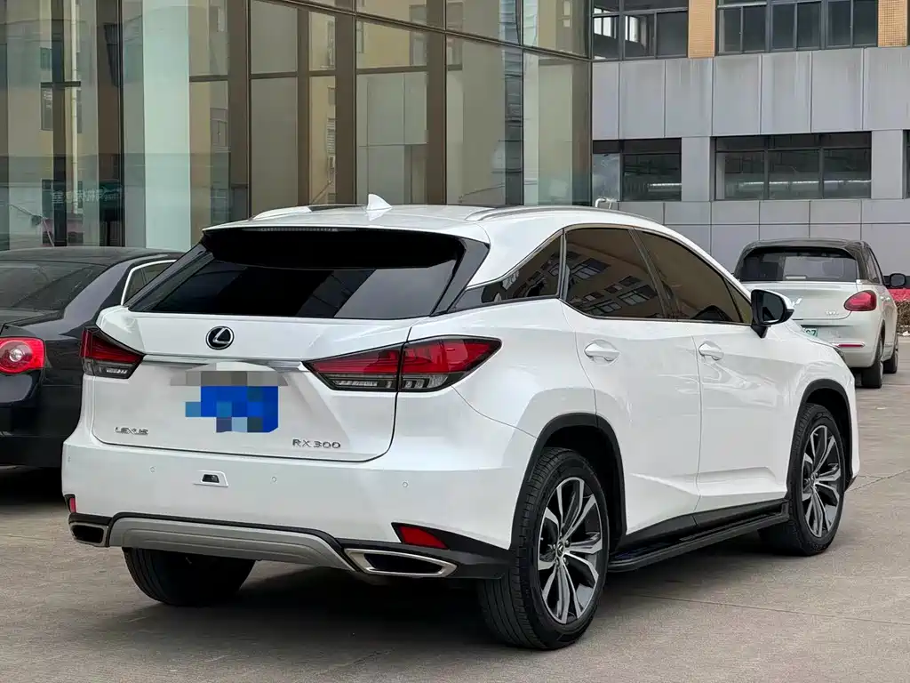 Lexus RX - фото 8