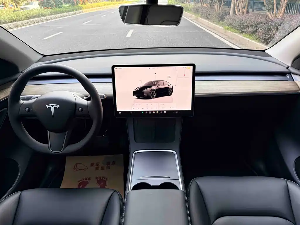 Tesla Model Y — миниатюра 13