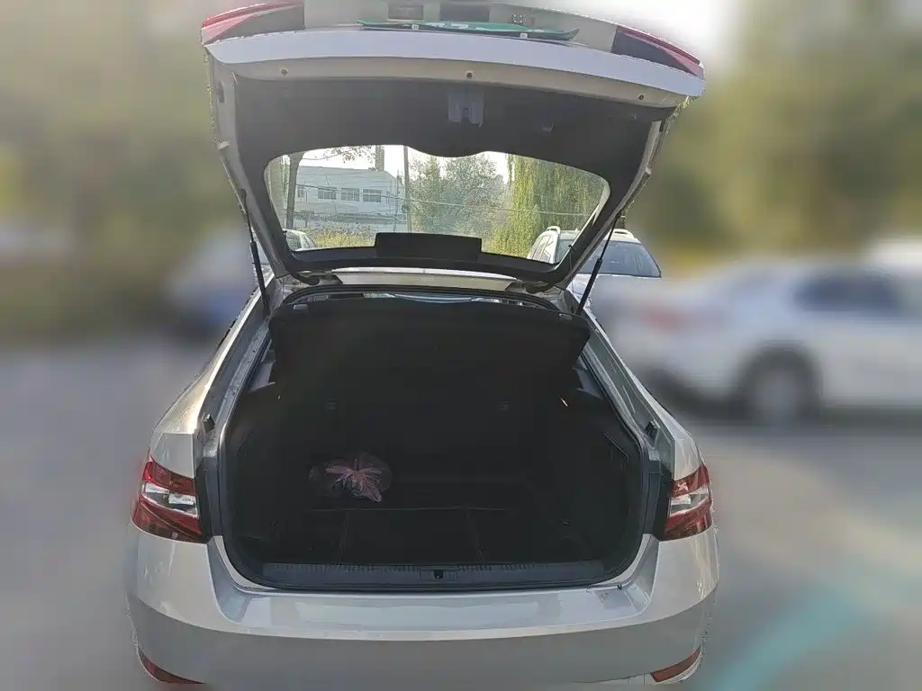 Skoda Superb — миниатюра 20