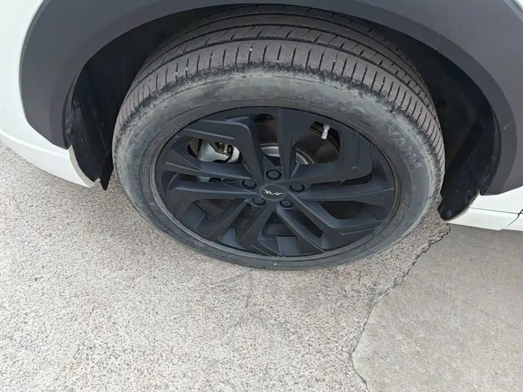 JAC JAC QX PHEV — миниатюра 23
