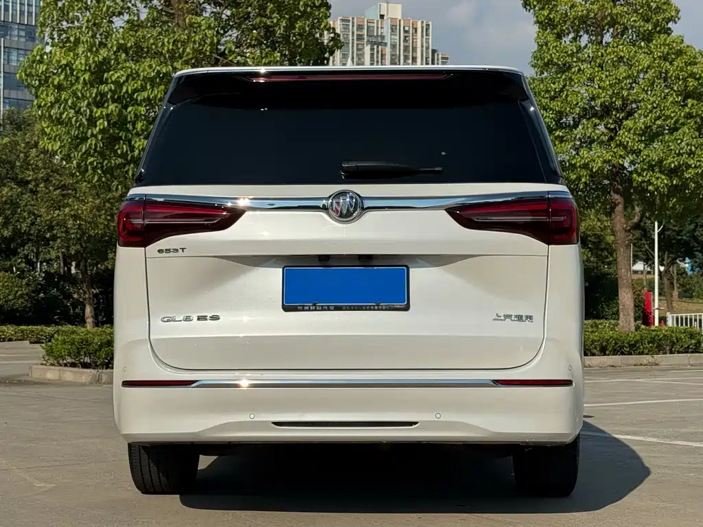 Buick GL8 — миниатюра 4