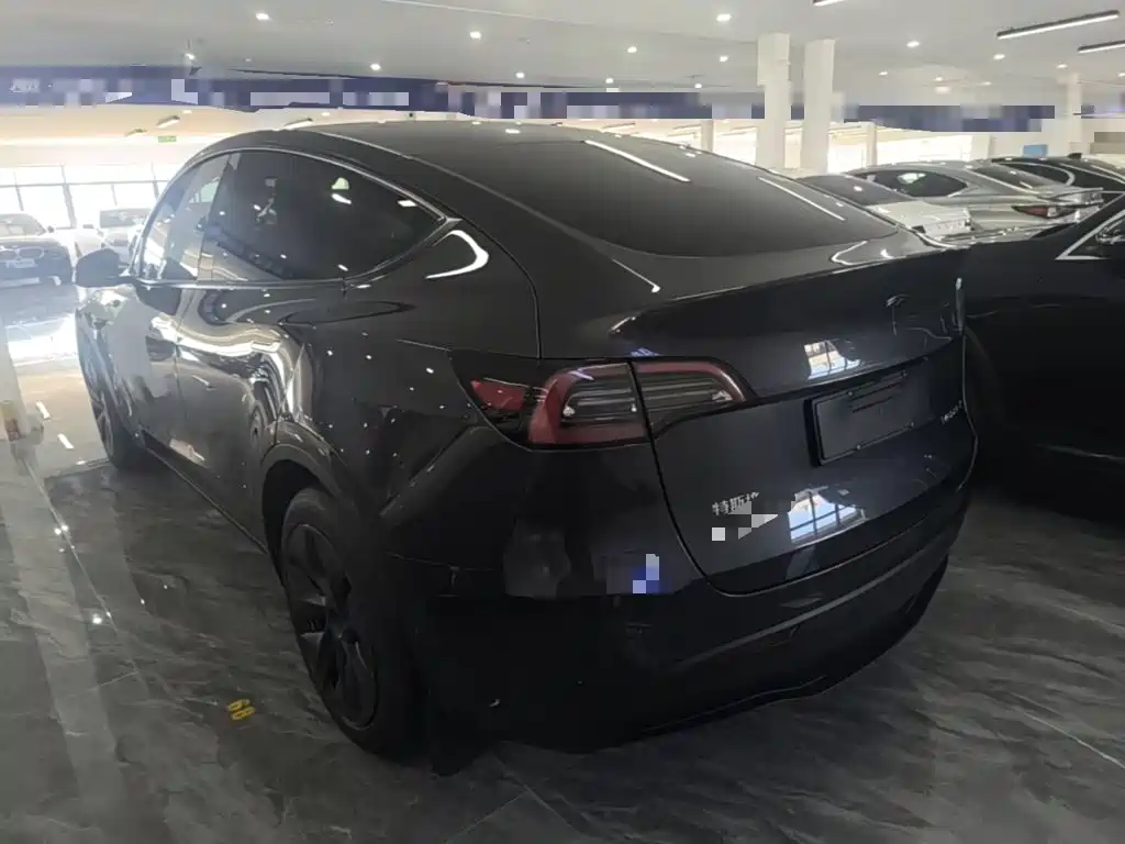 Tesla Model Y — миниатюра 23