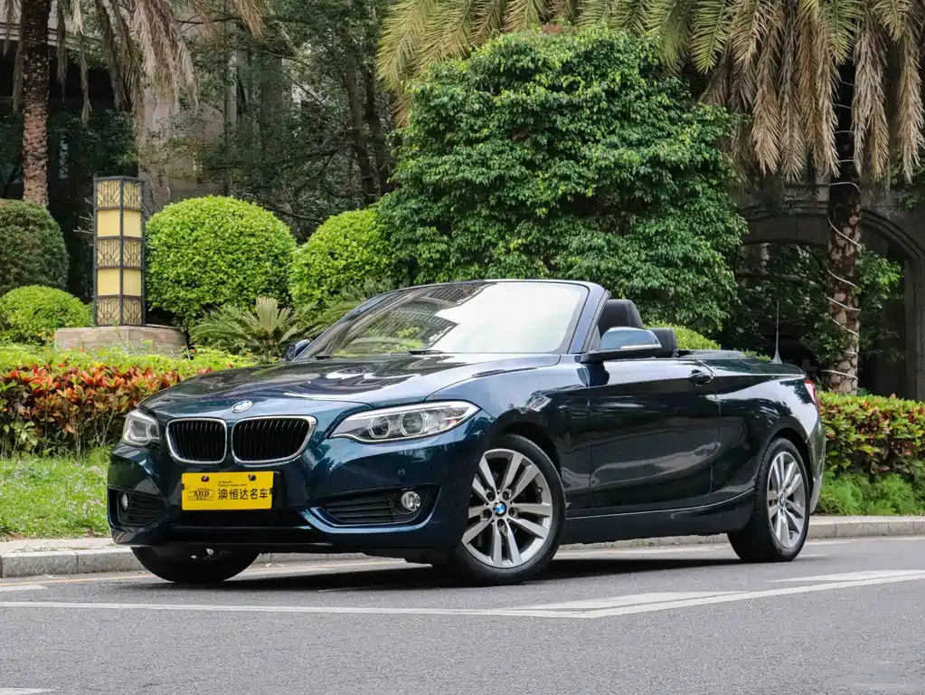 BMW 2 SERIES