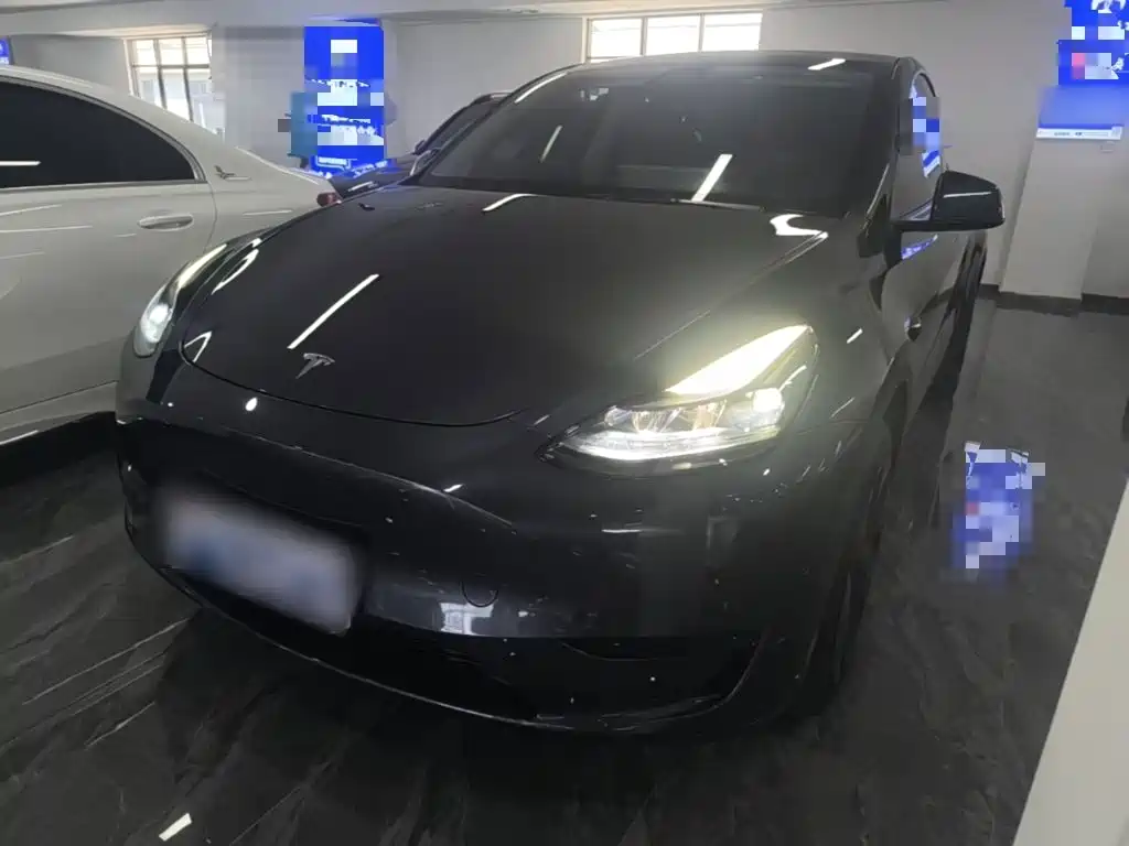 Tesla Model Y — миниатюра 2