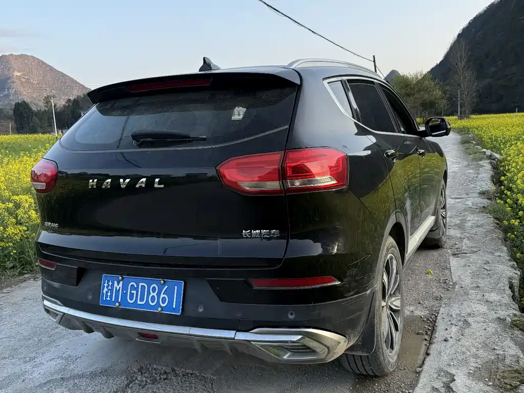 HAVAL H6