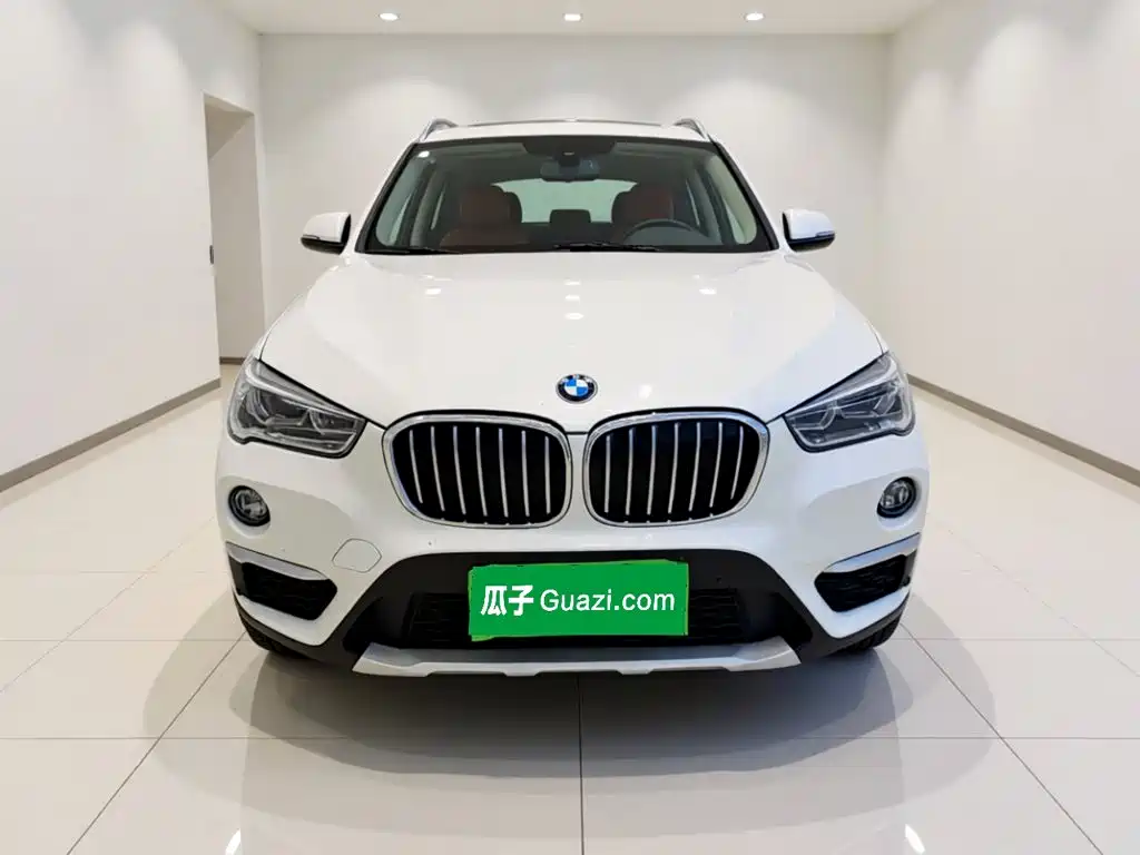 BMW X1 — миниатюра 2