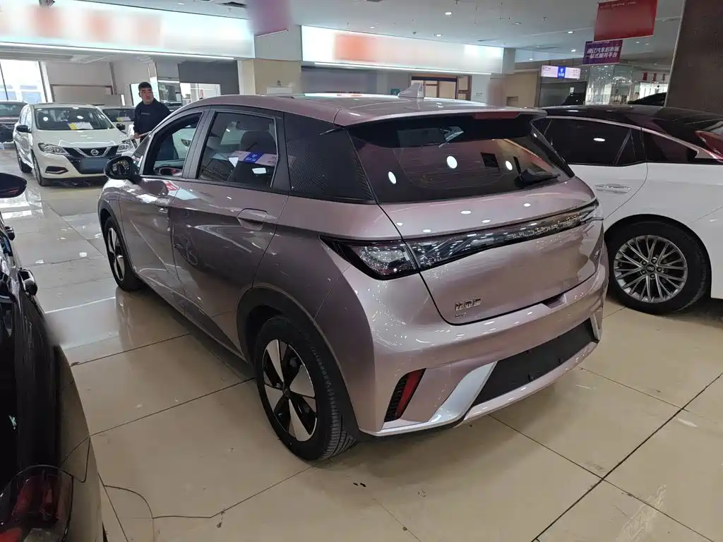BYD Dolphin — миниатюра 11
